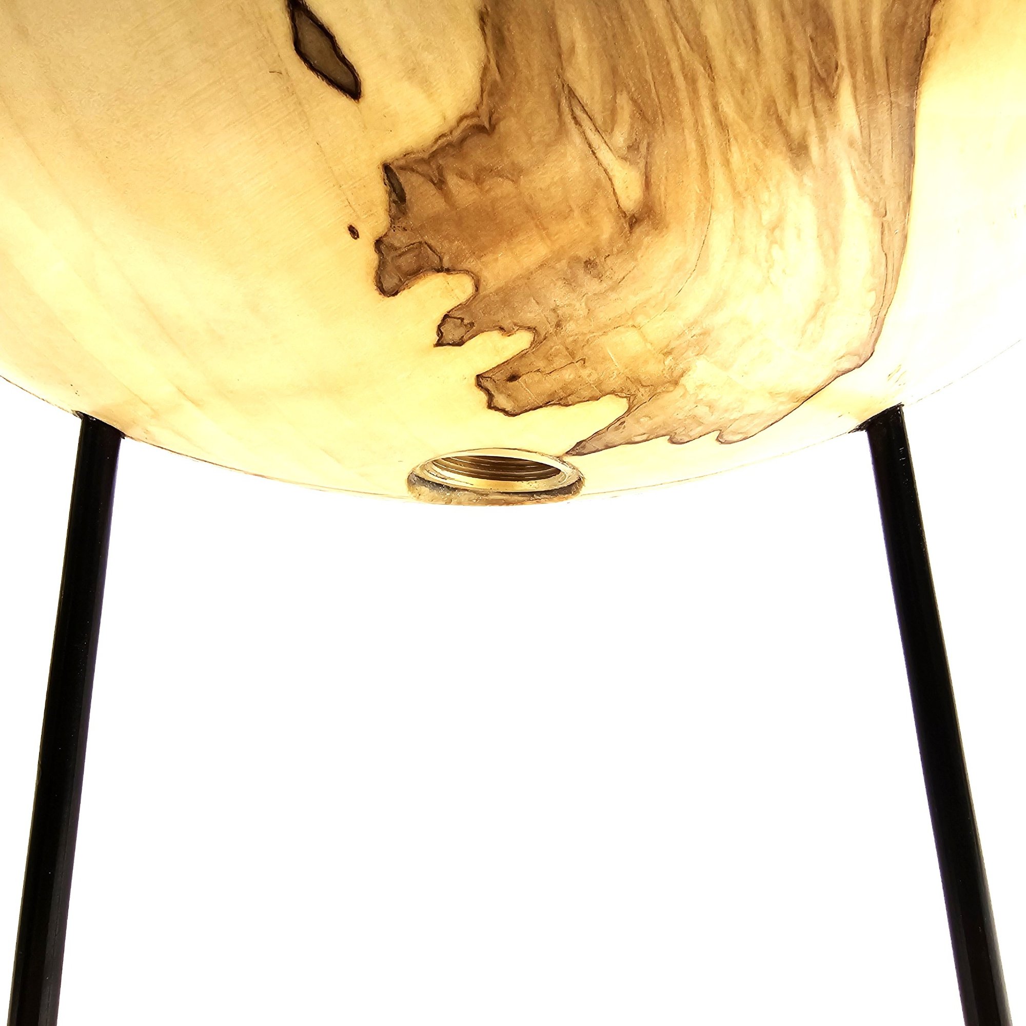 Color of Life - Afbeelding 8